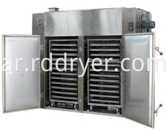 Dry Fruit Hot Air Circulating Oven